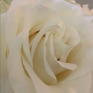 Meet your Posher, Rickey